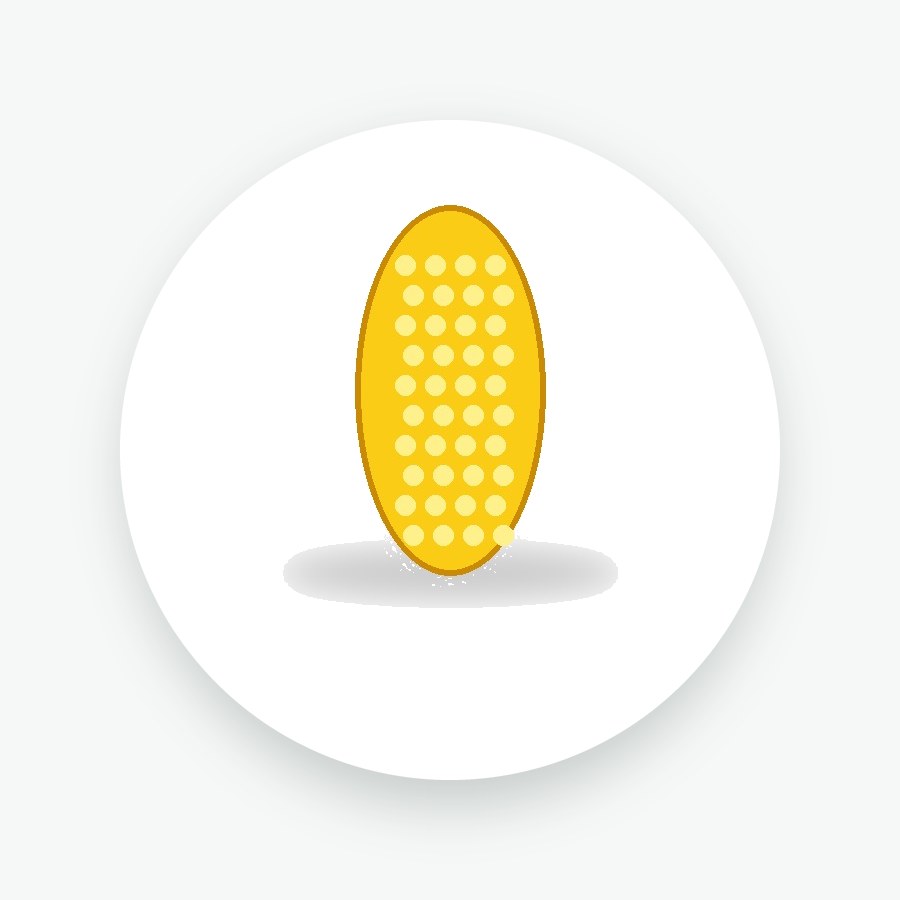 Maize Seeds 25kg