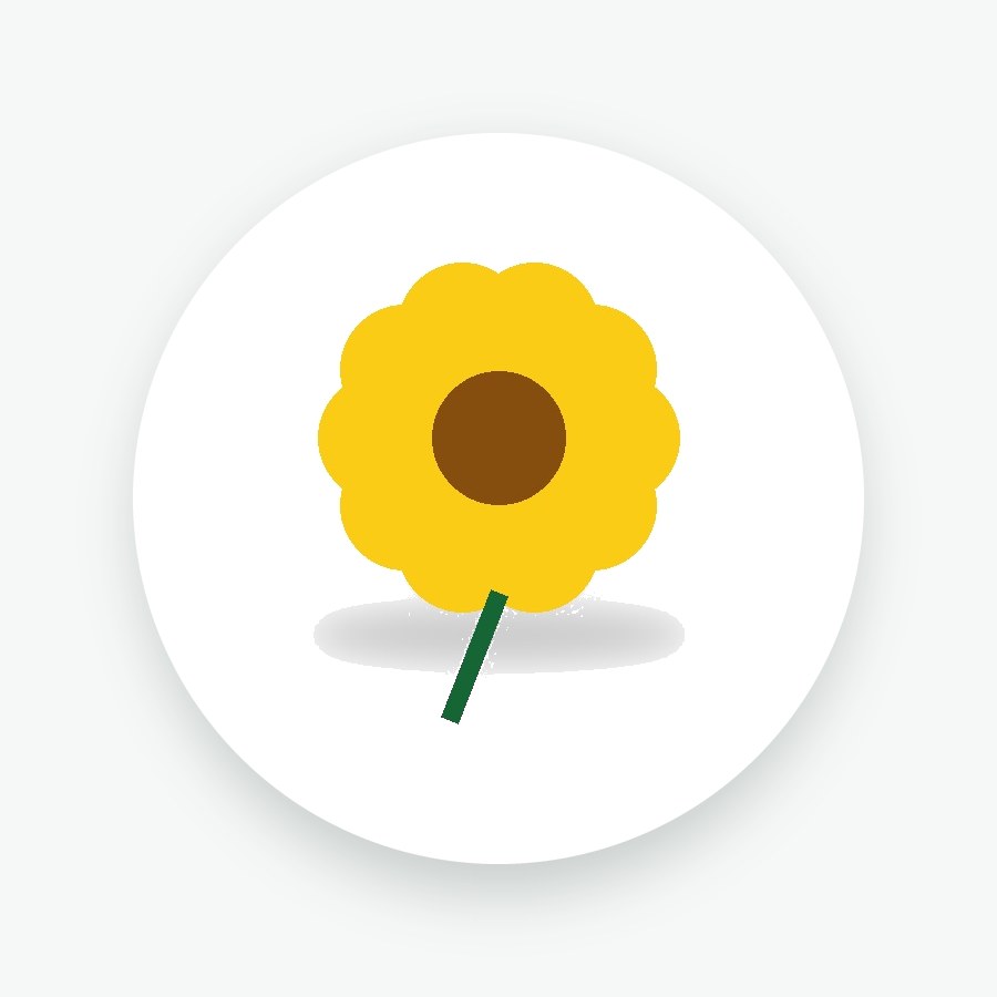Sunflower Seeds 500g
