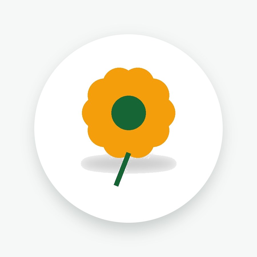 Marigold Plant Grafted Plant