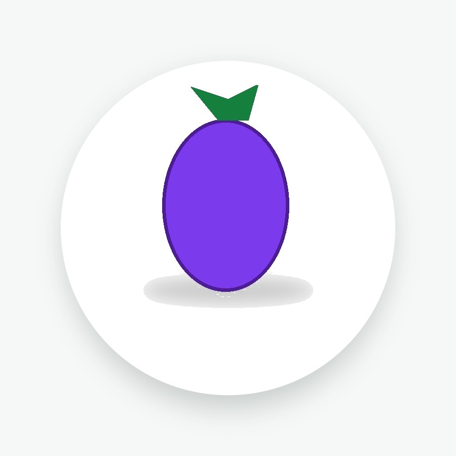 Brinjal Seeds 25g