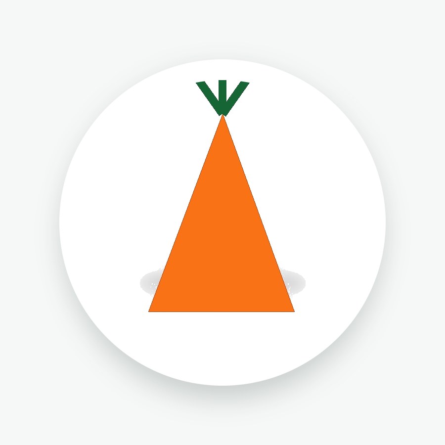 Carrot Seeds 50g